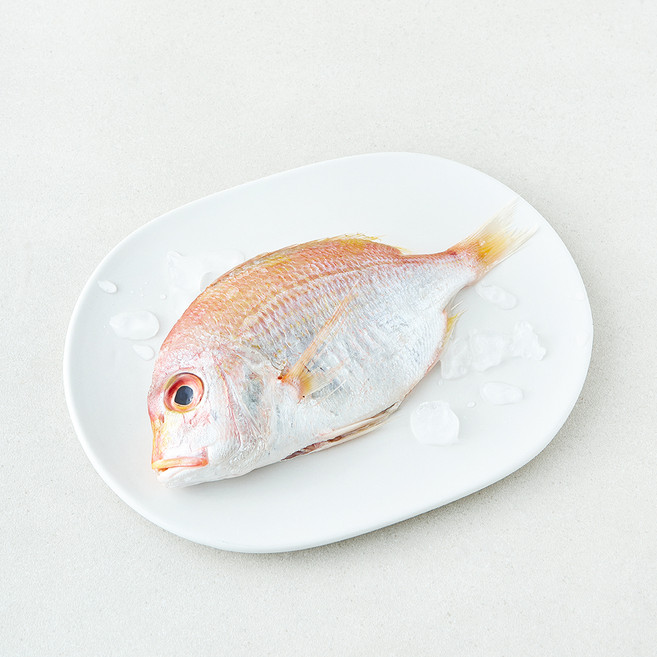 미감어보 국내산 손질 효온처리 통 꽃돔 (냉장), 1개, 200g