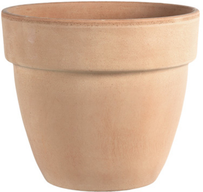 도시정원 바소 팔라디오 이태리토분, 아레나, 1개