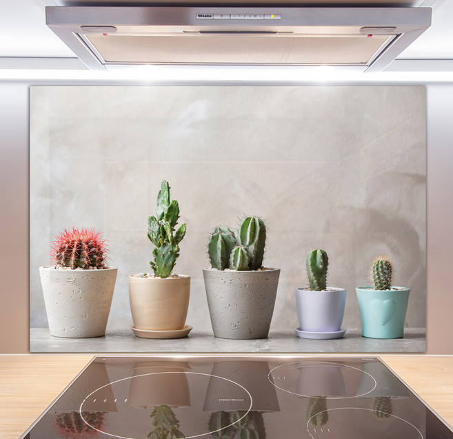 코나주방아트보드 고정형 아트보드 선인장퀸텟, 1개