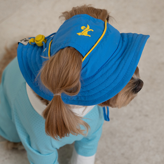 도그아이 강아지 아웃도어 캡, 1개, 블루