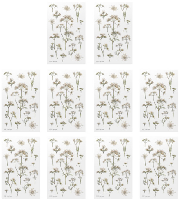 어프리 압화 스티커, 아미꽃, 10개