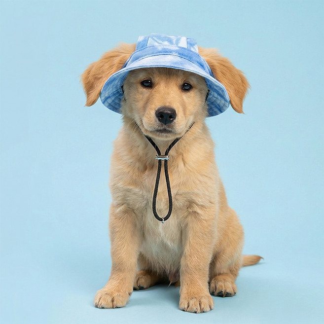 웨이비데이즈 반려동물 캠핑 사파리캡 W265-0257, 블루(W265-0257BU), 1개