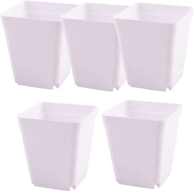오늘도양 플라스틱 모종 화분 5p, 화이트