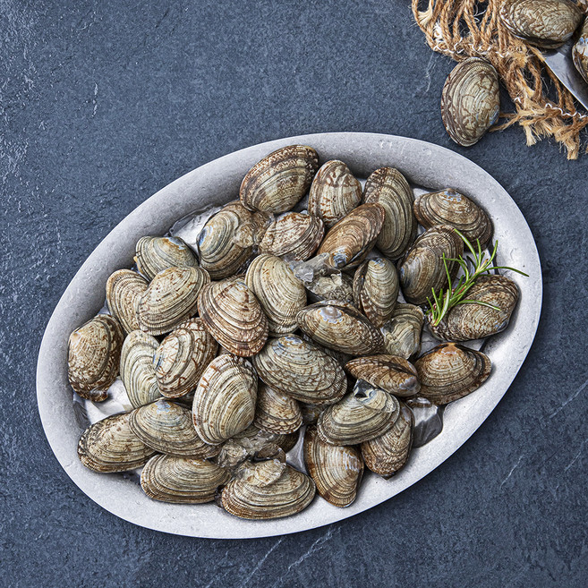 바다자리 생물 물바지락 (냉장), 1kg, 1개