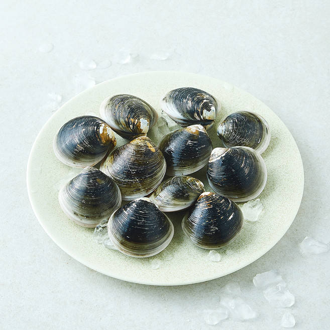 모시조개 (냉장), 1개, 300g