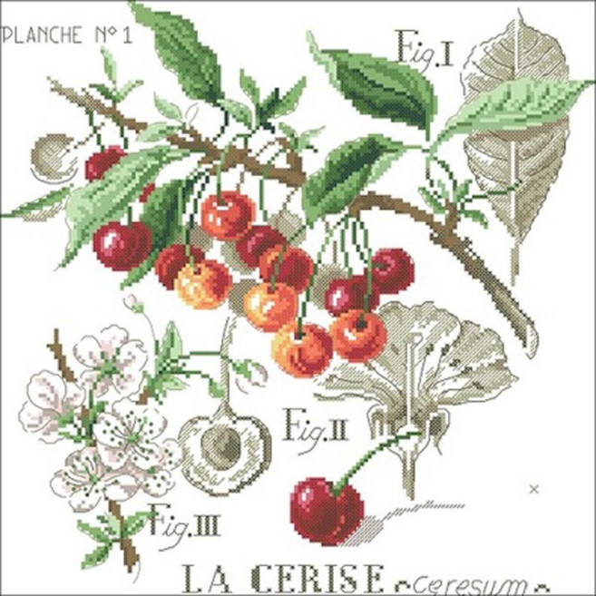 홈데코 체리꽃 십자수 DIY 도안 + 원단 + 실 + 바늘 2p 패키지 세트, 혼합색상, 1세트