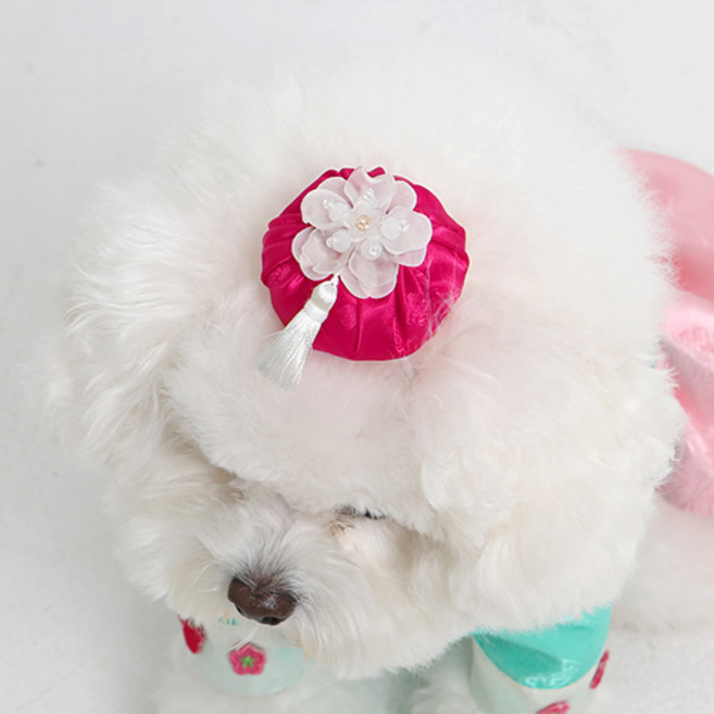 이츠독 반려동물 만두 배씨댕기 고무줄, 진분홍, 1개