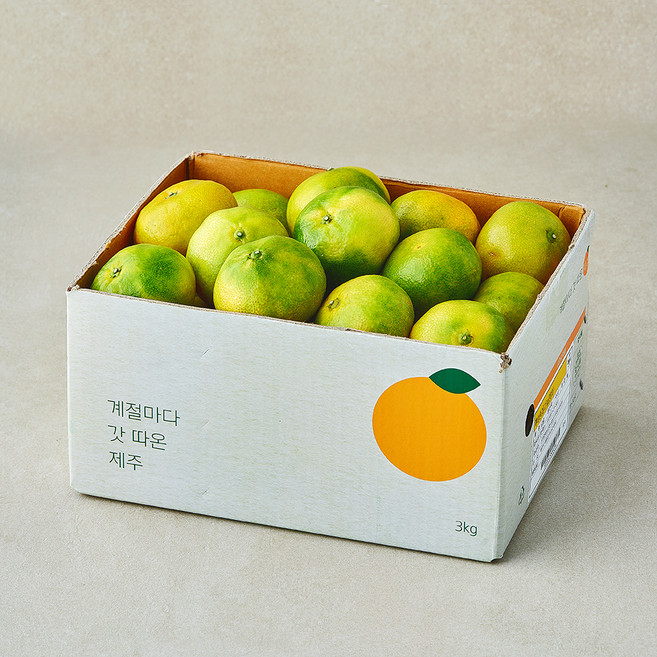 깨비농원 감귤, 1개, 3kg(랜덤과)