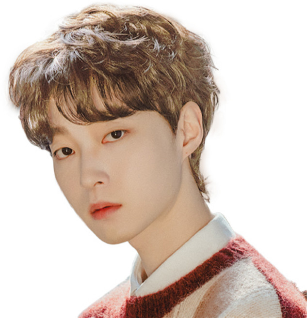 남성용 울프컷 솜브레 통가발 M, 초코브라운 + 밀크브라운, 1개