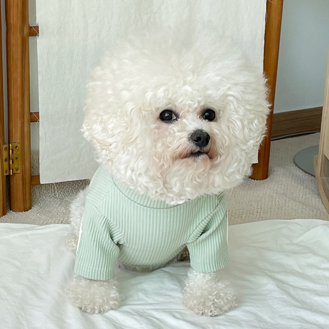 바이담수미 반려동물 패치폴라 티셔츠, 민트, 1개