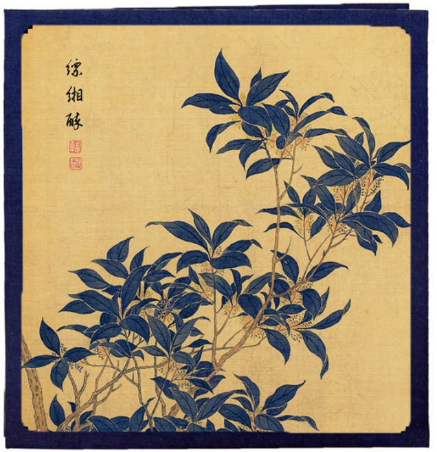 스타 우아한 화풍 사진 앨범 32.5 x 33.5 x 3 cm, Type 04 블랙, 20매