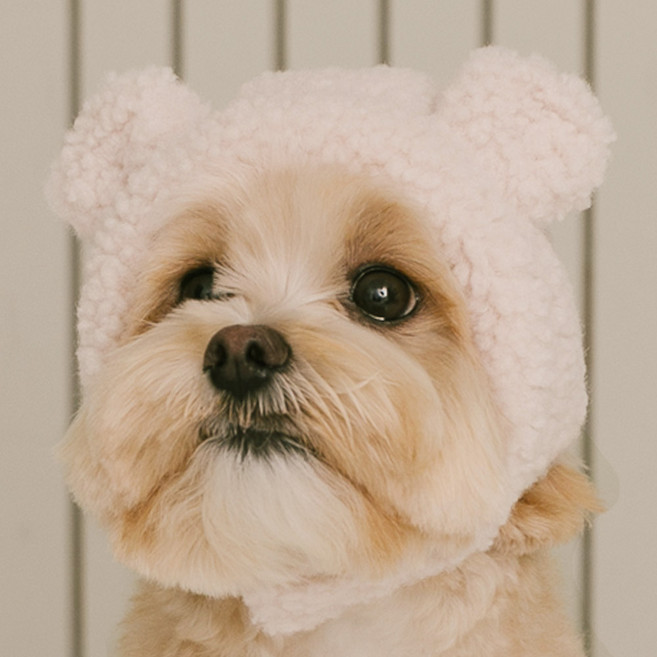 PETSLAND 寵物毛絨熊帽子, 象牙白, 1個