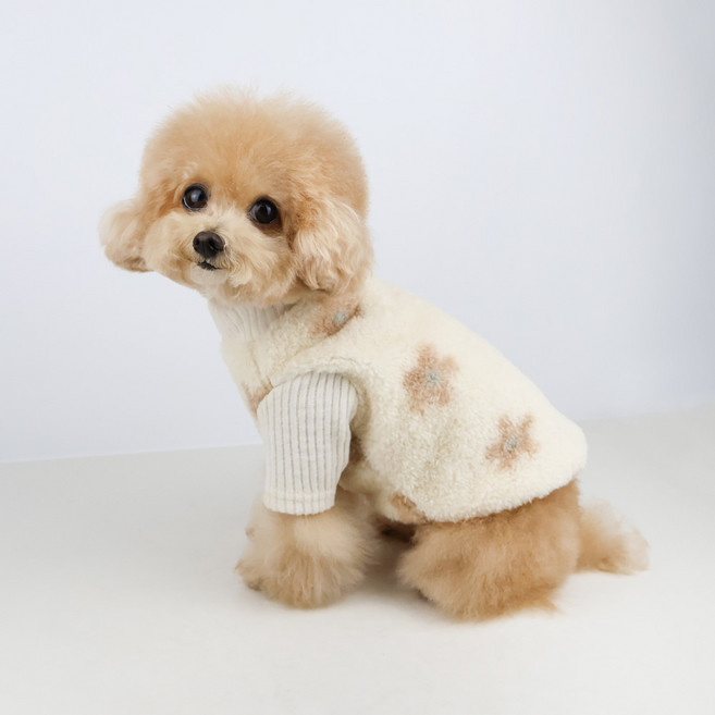 그루밍독 반려동물 윈터 데이지 니트, 아이보리, 1개