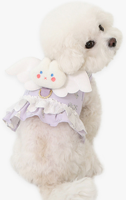 이츠독 강아지 쁘띠미뇽 엔젤 하네스, 바이올렛, 1개