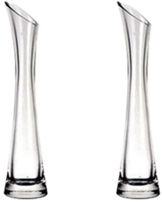 GLASSCO Long Live 玻璃花瓶 2入 SH220-20, 玻璃
