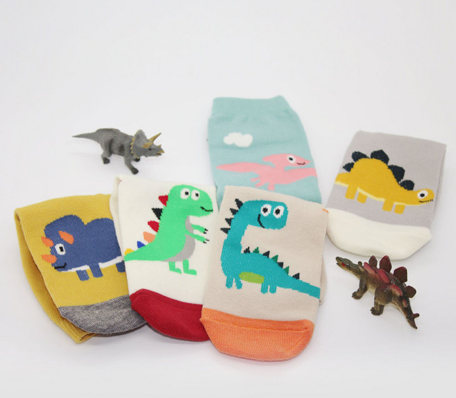 디어삭스 아동용 공룡친구들 중목 양말 5종 세트