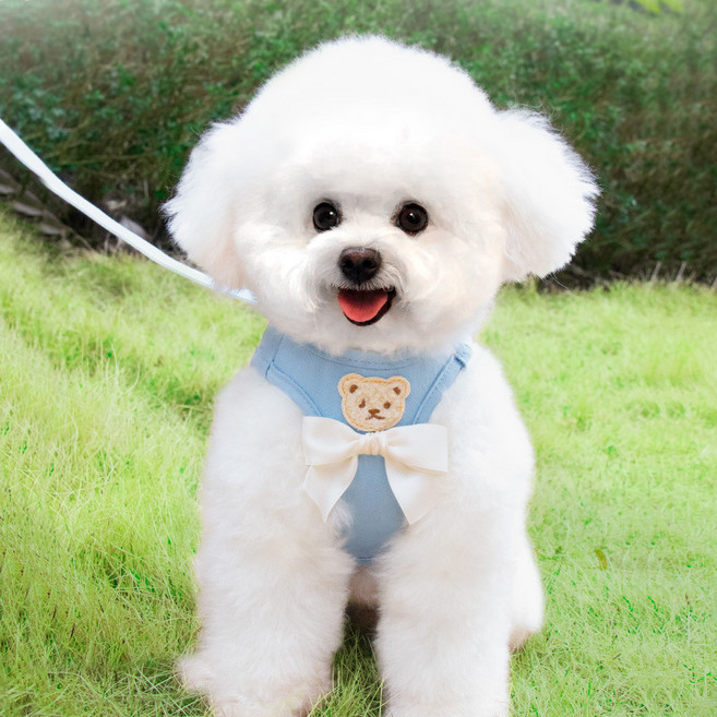 파스텔펫 반려동물 리본 곰돌이 하네스 리드줄 세트, 블루, 1세트