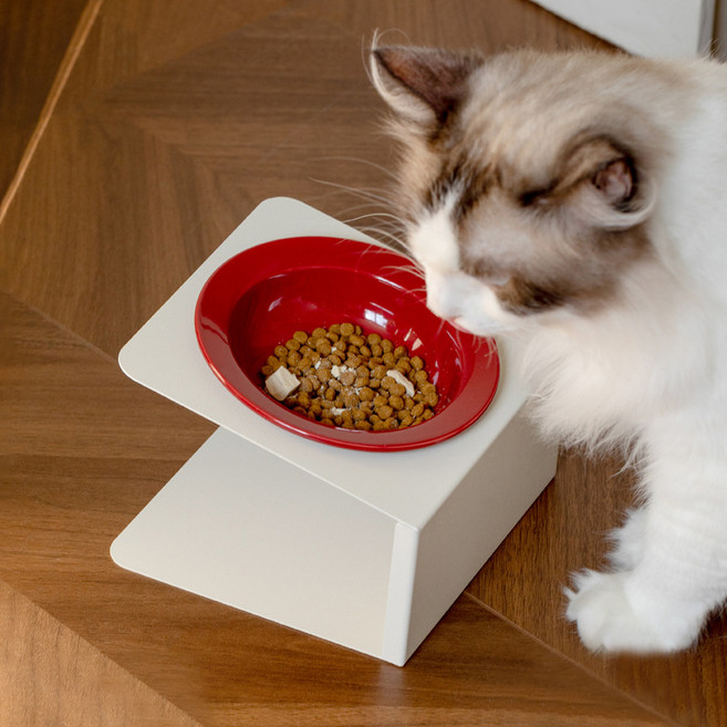 파스텔펫 반려동물 세라믹 경사받침 식기 FREE, 레드, 1개