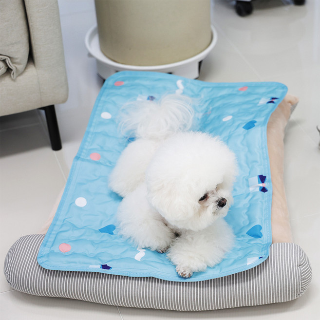 마이또 반려동물 러브 시리즈 쿨매트, 블루, 1개