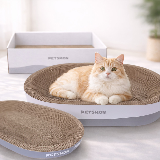 펫츠몬 고양이 최애 3종 스크래쳐 세트, 혼합색상, 1세트