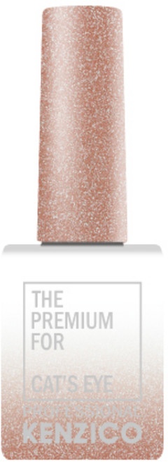 켄지코 캣츠아이 젤네일, CE202, 10g, 1개