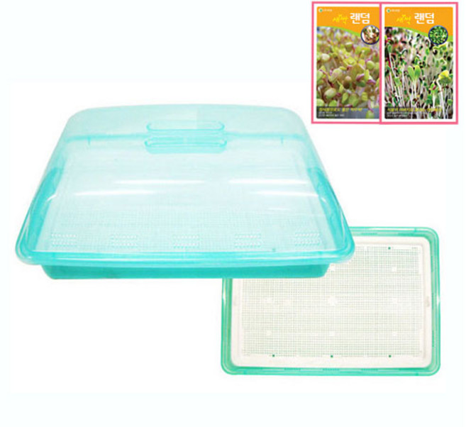 호미닷컴 새싹재배기 특대 + 씨앗 2종 랜덤발송 세트, 1세트