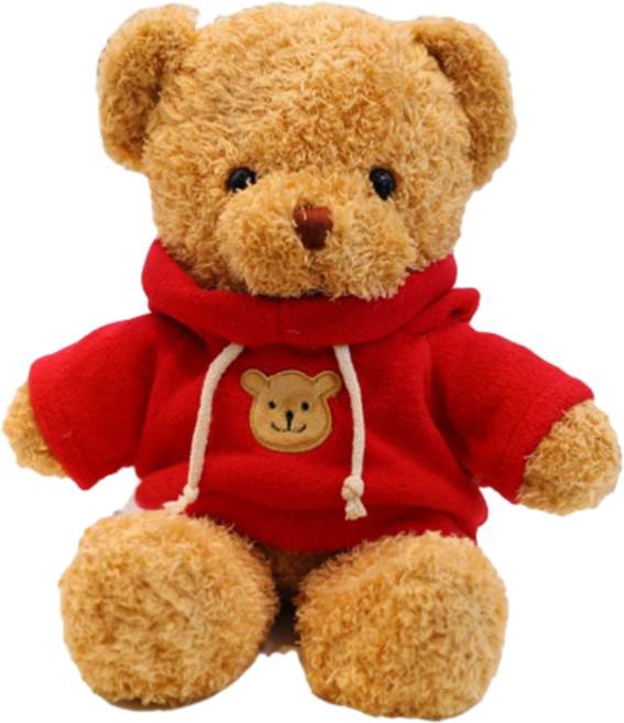 네이처타임즈 곰돌이 테디 봉제인형, 맨투맨레드