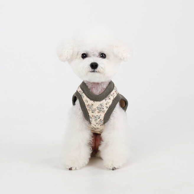 에이미러브즈펫 반려동물 허니그랜마 조끼, 그린, 1개