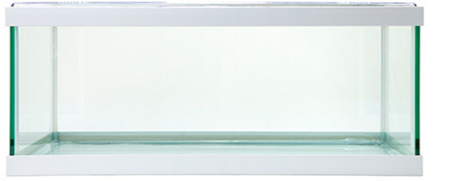 와이피 낮은어항, 화이트, 1개
