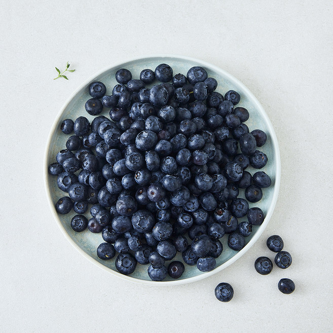 수플린 미국산 블루베리, 1개, 500g