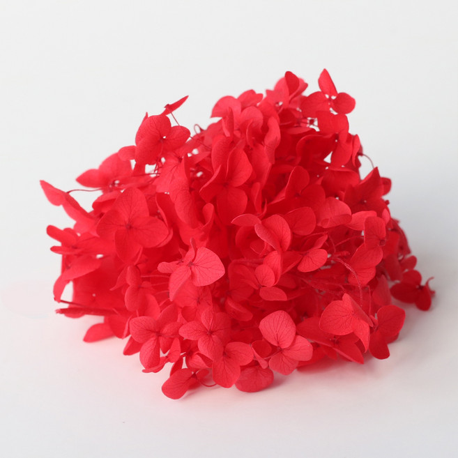 로맨틱노벰버 프리저브드 플라워 수국, 레드