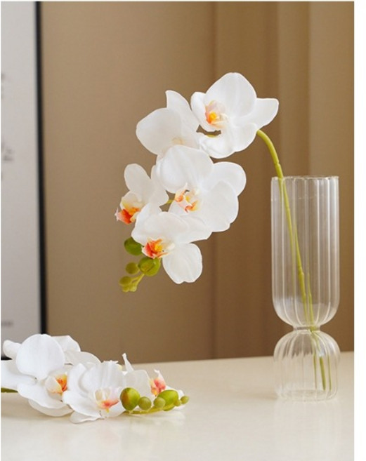 쏘앤영 조화 난초 결혼식 소품, 화이트, 1개