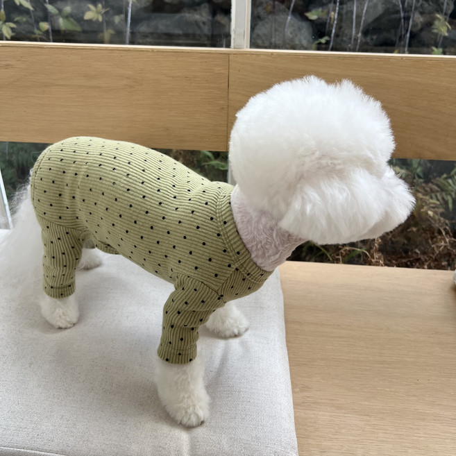 매그독 반려동물 소프트 도트 올인원, 올리브, 1개