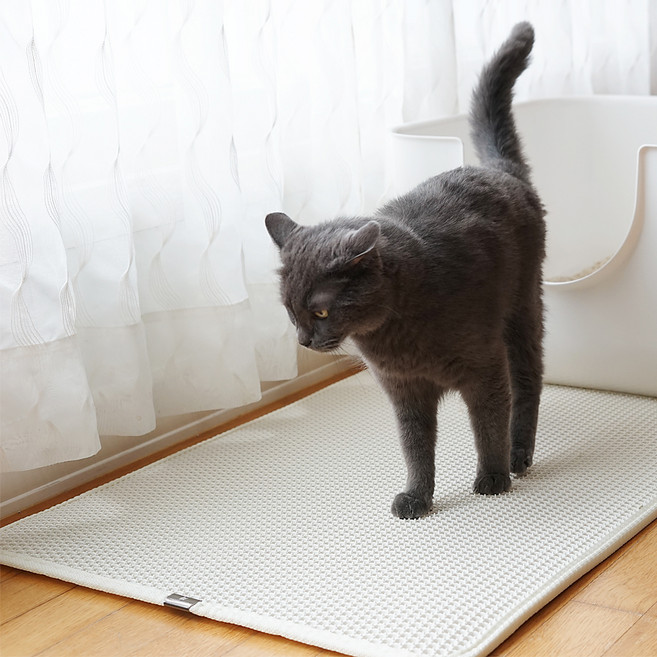가또블랑코 고양이 사막화방지 감자매트, 1개, 아이보리