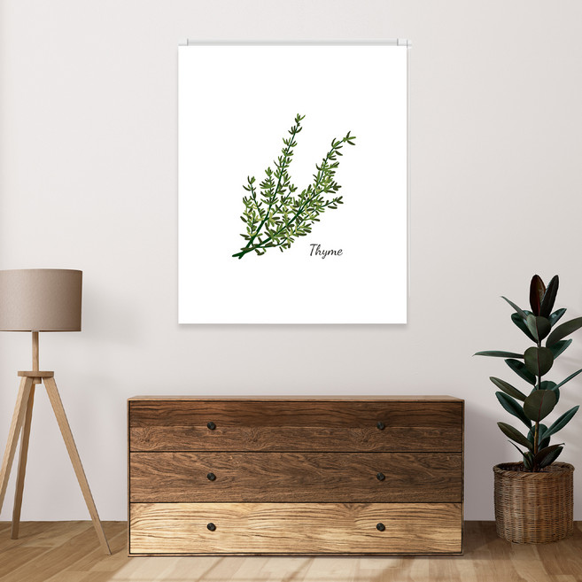 끌래망스 백리향 실사 롤스크린 일반