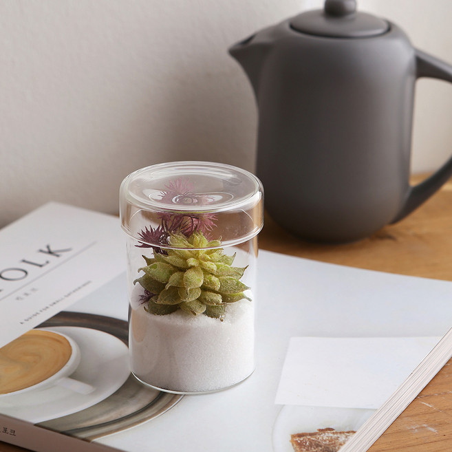 글라스코 테라리움 용기 미니 SH0209, 투명