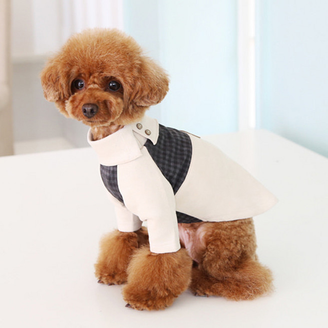 레어밍스 강아지 체크 가죽탑, 아이보리, 1개