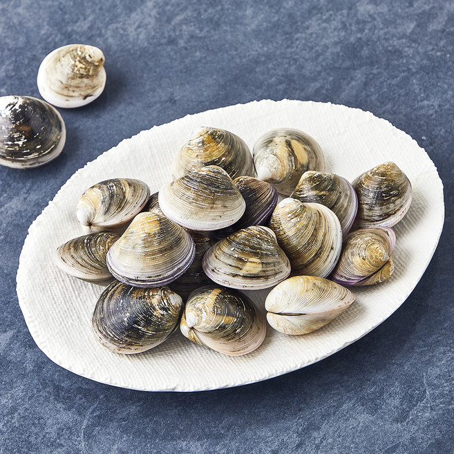 숨비해물 국내산 시원하고 담백한 모시조개 (냉장), 1개, 500g