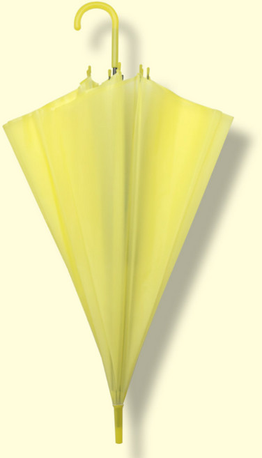 이지레그 투명 비닐 파스텔 자동 장우산