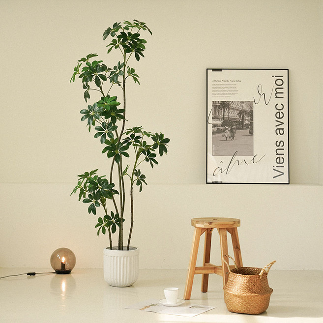 플라우스302 조화 홍콩야자 쉐프릴라 나무 160cm, 1개