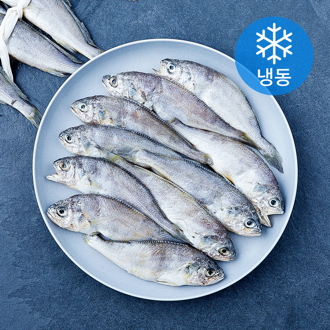 영광법성포 엮어진 굴비 20미 (냉동), 1개, 1kg