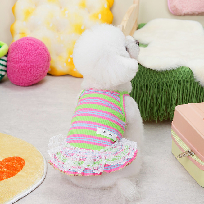 파스텔펫 반려동물 줄무늬 레이스 원피스, 1개, 그린
