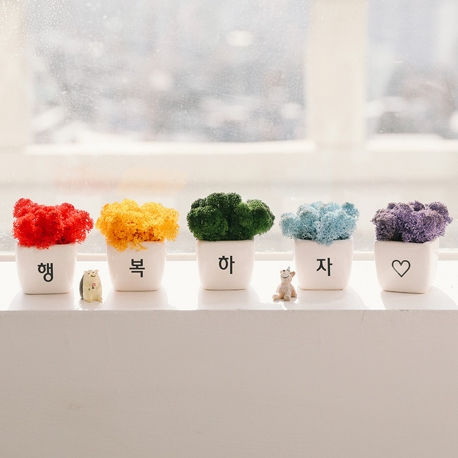 ASPASIA 彩虹應援 斯堪地亞苔蘚盆栽 5種 + 公仔 隨機出貨 2入組, 1組