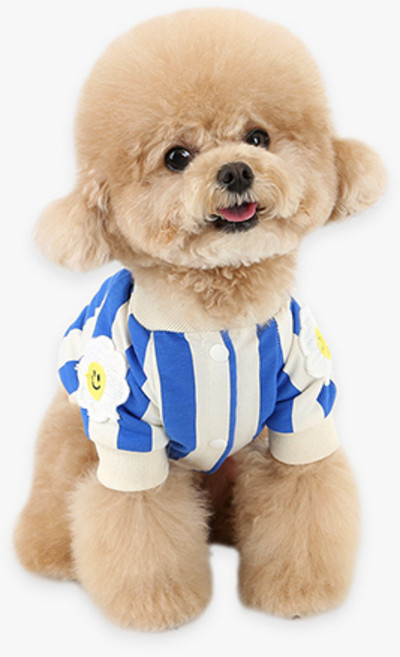 이츠독 반려동물 스마일 데이지 크롭 점퍼, 블루, 1개