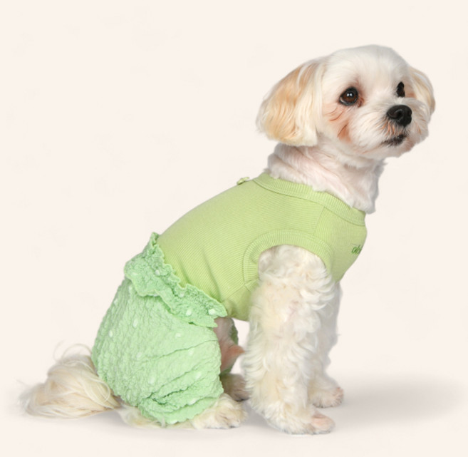 올치 강아지 골지 스판 올인원 OP6698, 1개, 그린