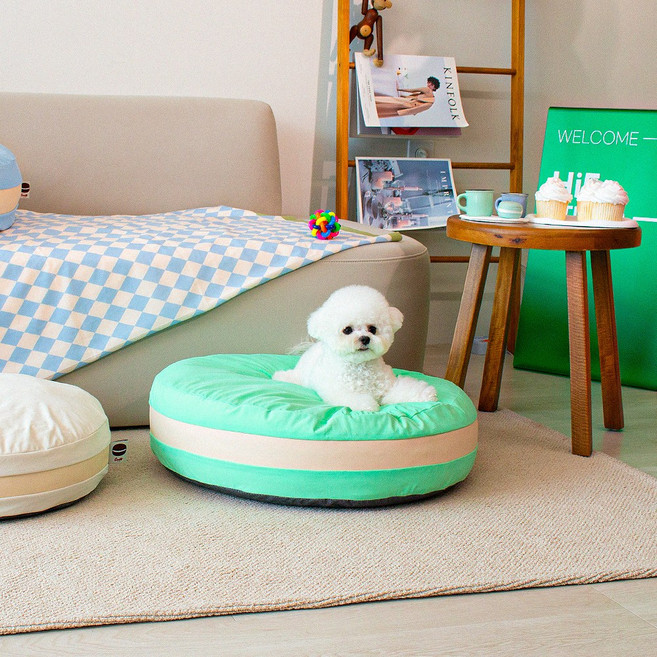 초코펫하우스 강아지 쿠션 마카롱 방석, 치카치카 민트초코 민트, 1개