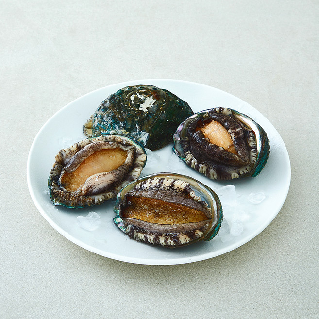 어부심 국내산 활전복 왕특대 (냉장), 1개, 500g 내외(4미)