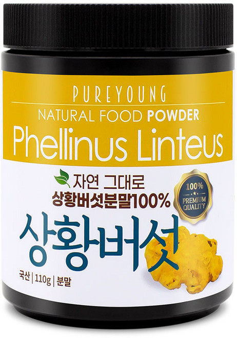 퓨어영 상황버섯 분말, 110g, 1개