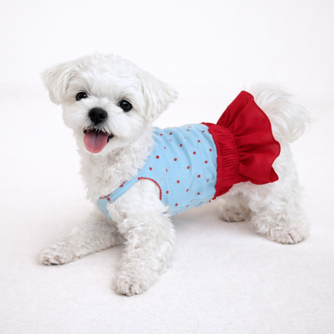 그루밍독 강아지 끈나시 레드퐁퐁 원피스, 블루, 1개