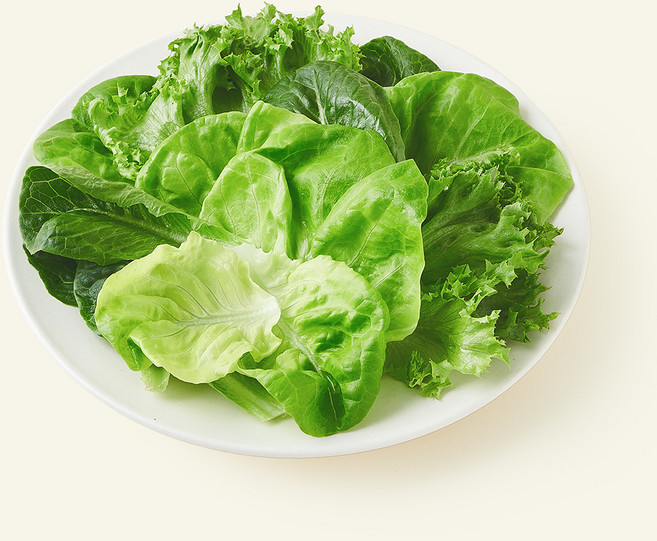 팜에이트 무농약 인증 스마트팜 데일리 믹스 유러피안 샐러드, 100g, 1개